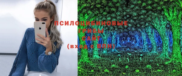 эйфоретик Инта