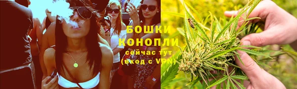 эйфоретик Инта