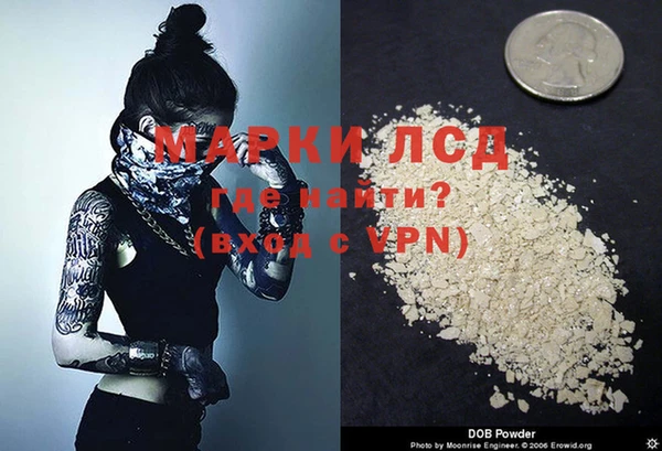 эйфоретик Инта