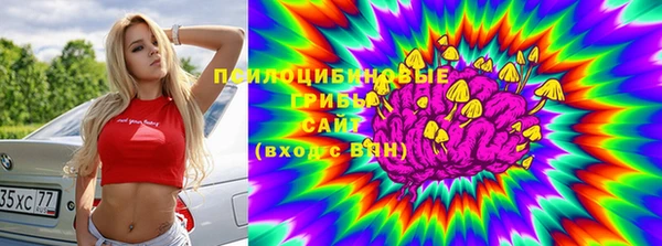 бутират Иннополис