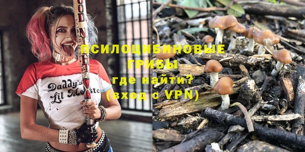 бутират Иннополис