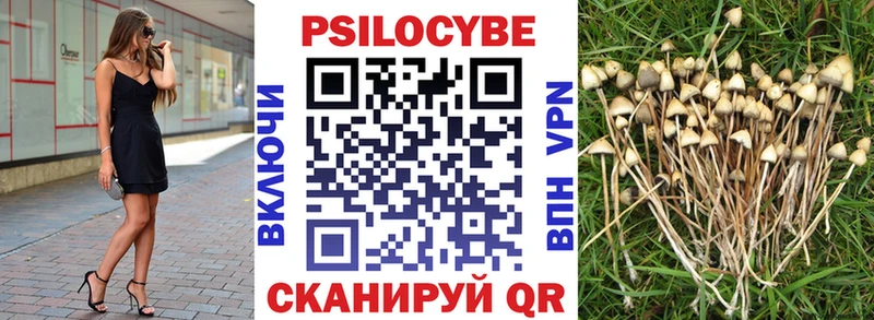 Галлюциногенные грибы MAGIC MUSHROOMS Купить закладки Сарапул